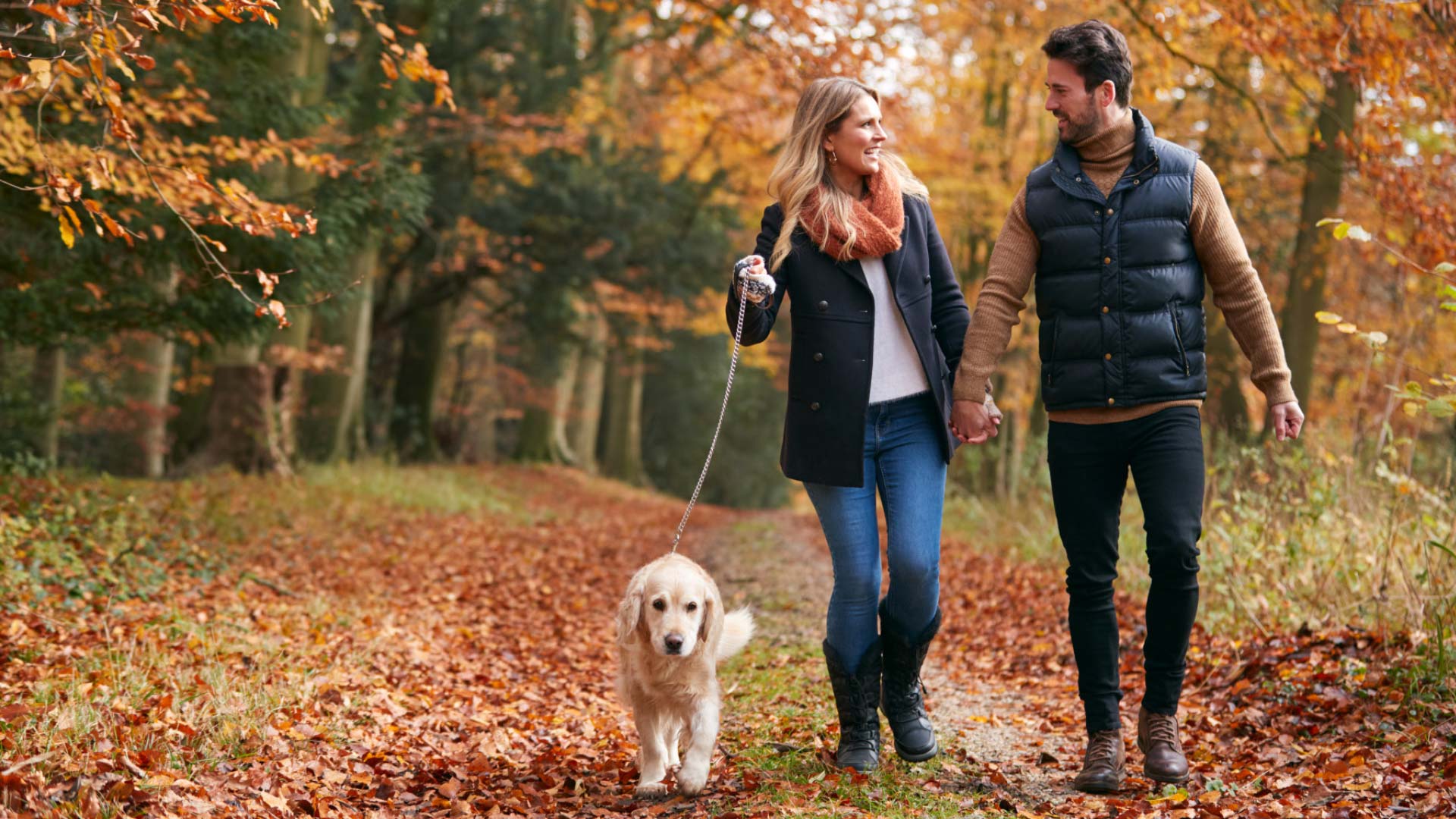 Couple walking outdoors with their dog